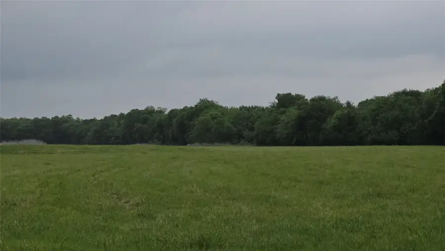 0000 Fm 272, Celeste, TX 75452 - #3