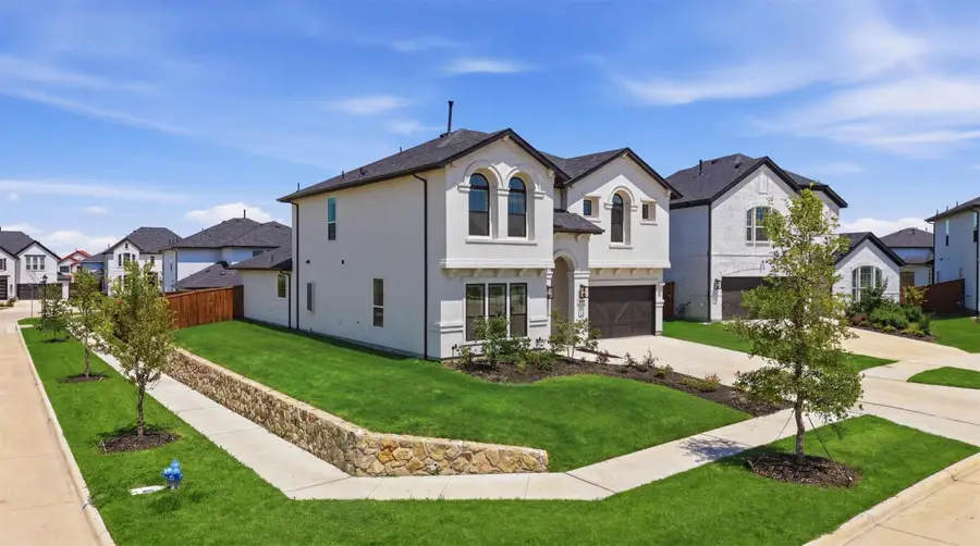 10614 Born Free Road, Frisco, TX 75035 - #3
