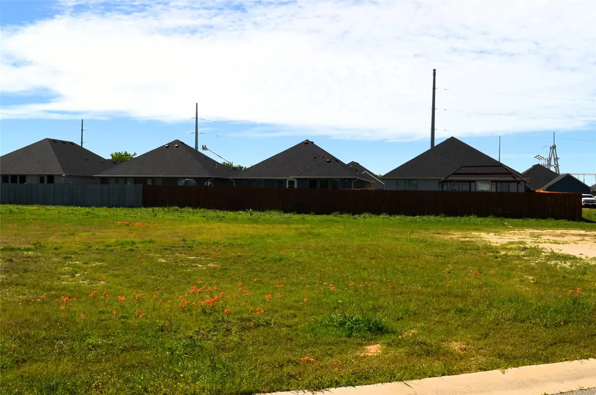 317 Preston Road, Mabank, TX 75147 - #1