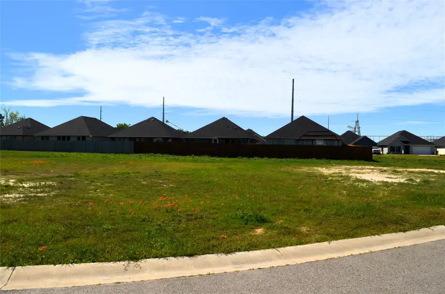 317 Preston Road, Mabank, TX 75147 - #2