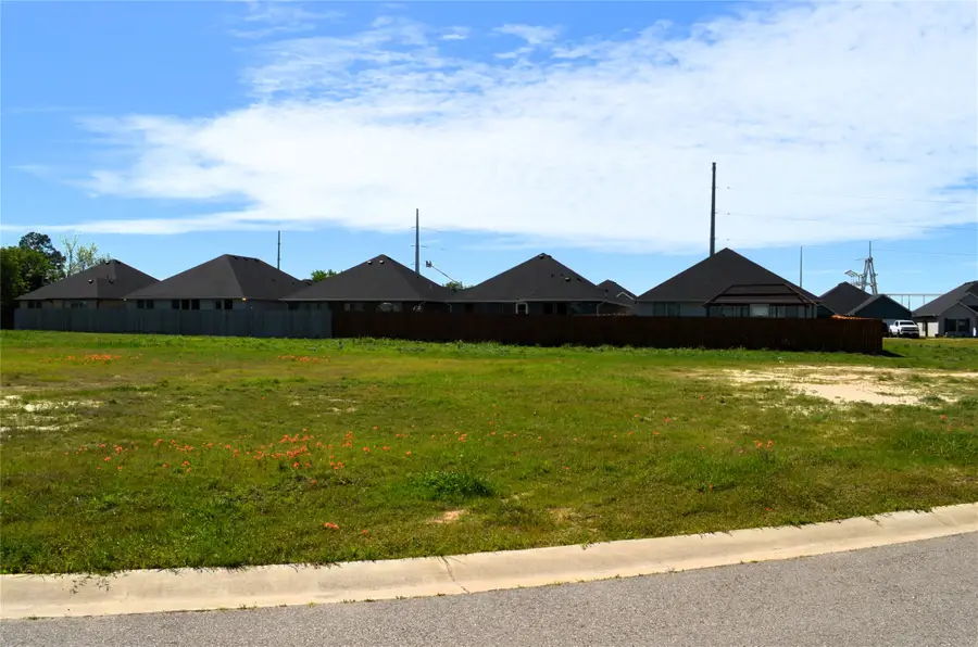 317 Preston Road, Mabank, TX 75147 - #3