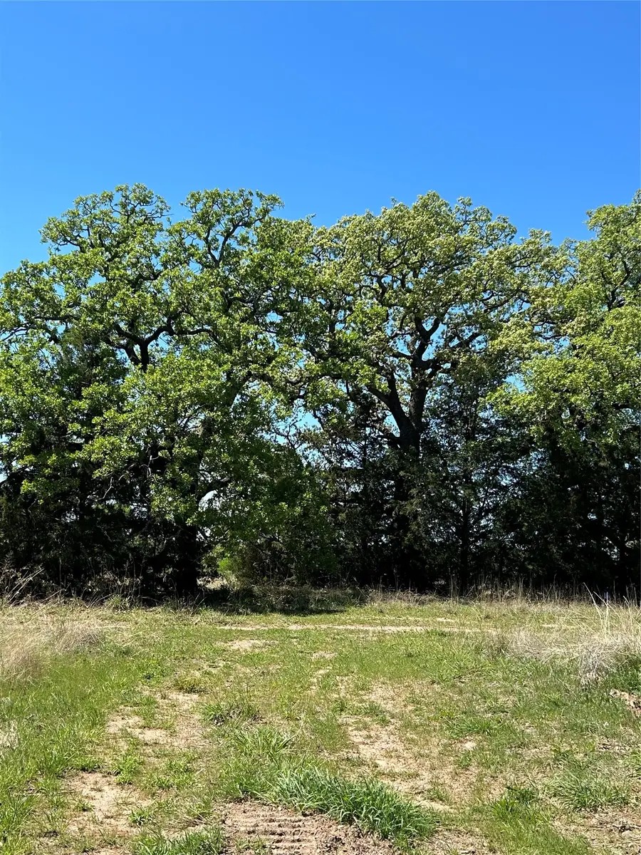 276 Legacy Lane, Bowie, TX 76230 - #3