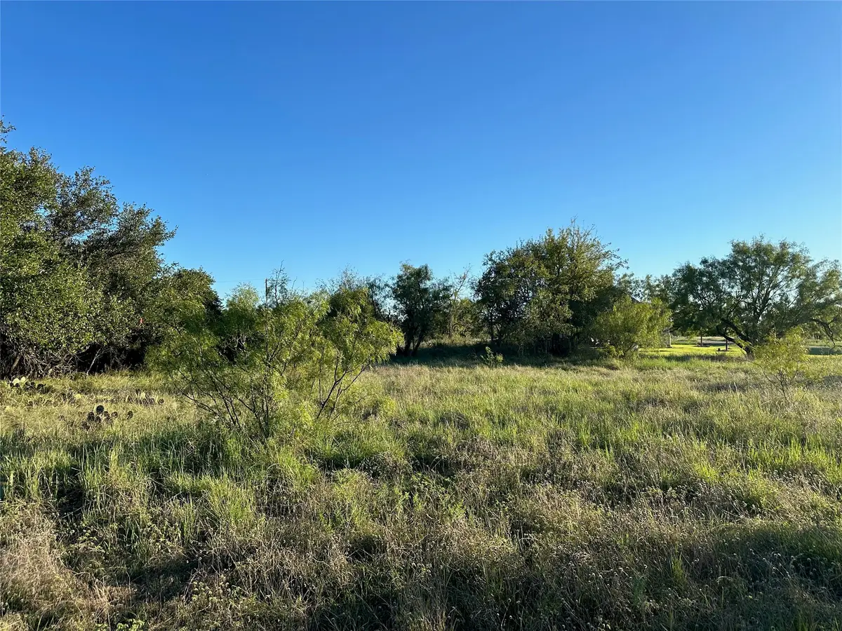 263 Feather Bay Drive, Brownwood, TX 76801 - #1