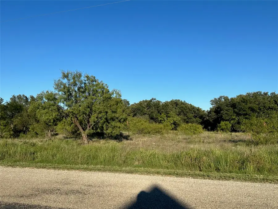 263 Feather Bay Drive, Brownwood, TX 76801 - #3