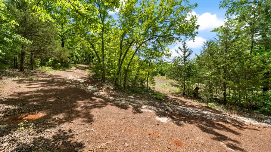 TBD County Road 4915, Ben Wheeler, TX 75754 - #3