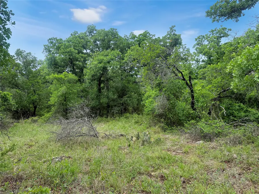 TBD Comanche Moon Drive, Mingus, TX 76463 - #2