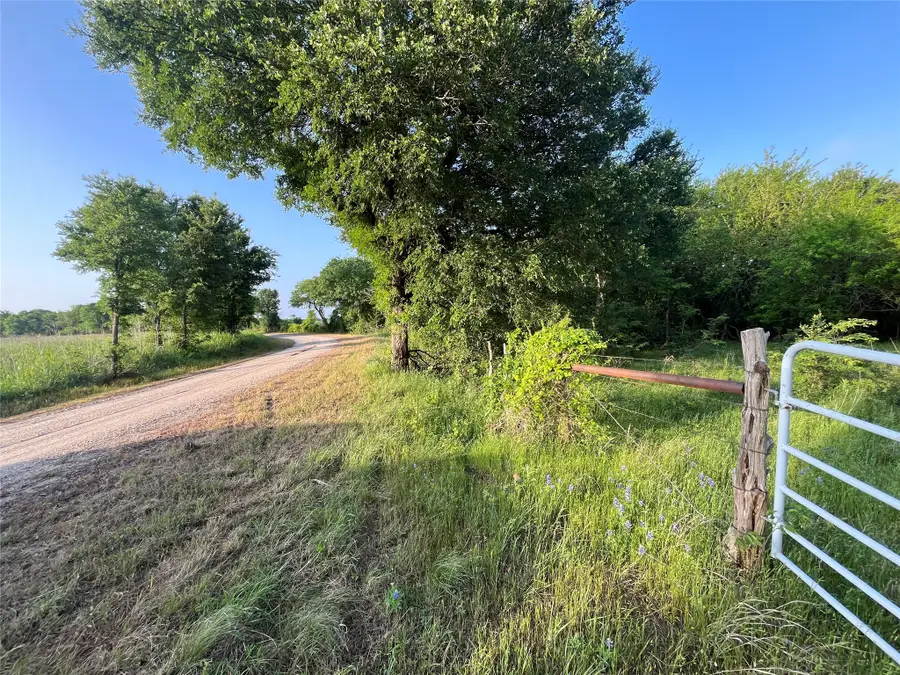 15.35 ACRES Lcr 219, Coolidge, TX 76635 - #2