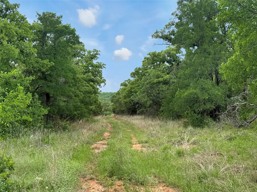 TBD Tenbears Ct, Mingus, TX 76463 - #2
