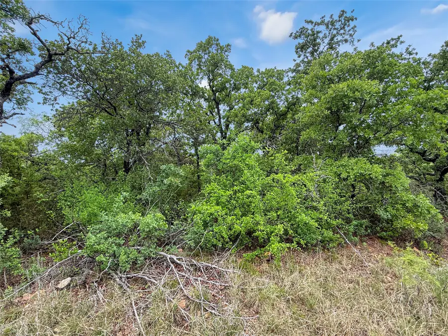 TBD Tenbears Ct, Mingus, TX 76463 - #3