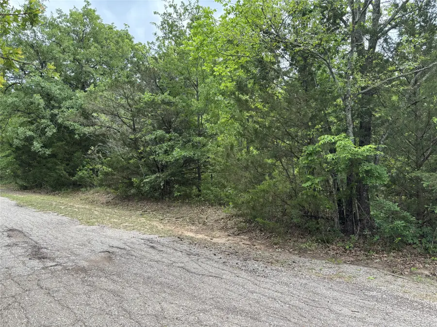 TBD Red Bud Trail, Quinlan, TX 75474 - #2