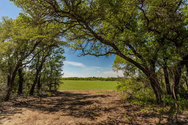 TBD C.r. 120, Coleman, TX 76834