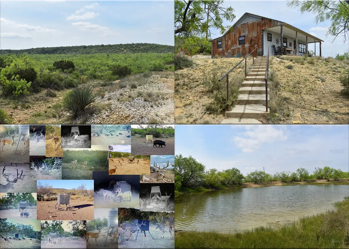 3408 Cr 312, Voss, TX 76888 - #1