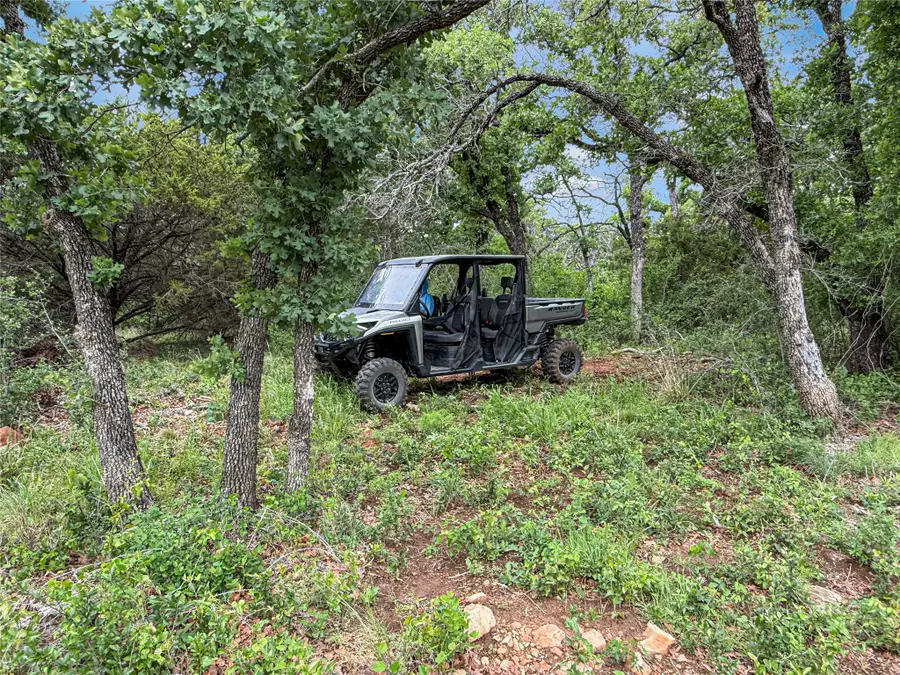 TBD Hoahway Drive, Mingus, TX 76463 - #3