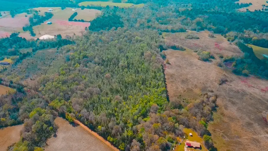 TBD Cr 4308 Reno Rd, Naples, TX 75568 - #2