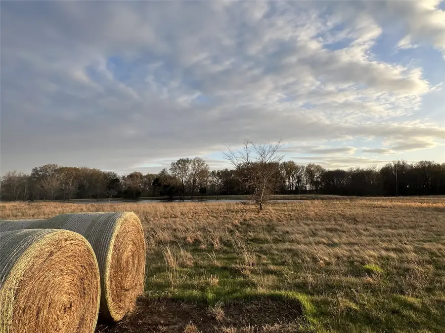 3950 Fm 47, Wills Point, TX 75169 - #3