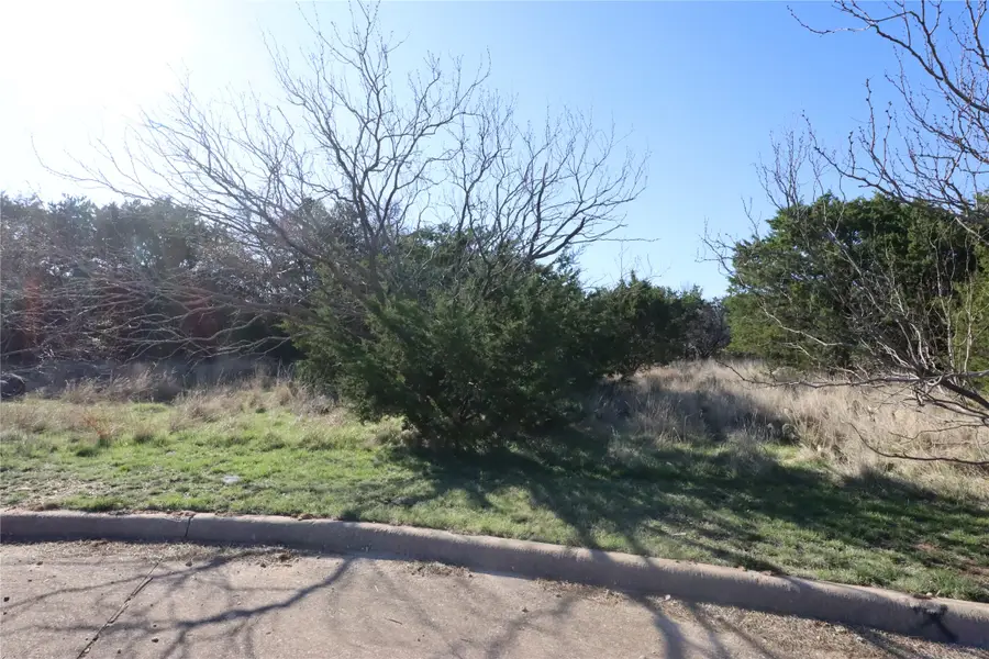 12 Shoal Creek Circle, Graford, TX 76449 - #2