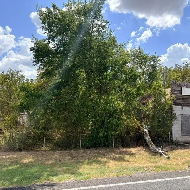 TBD Mingus Boulevard, Mingus, TX 76463 - #2