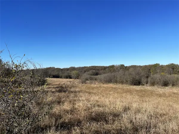 13 Bounds Road #13 Acres, Gunter, TX 75058
