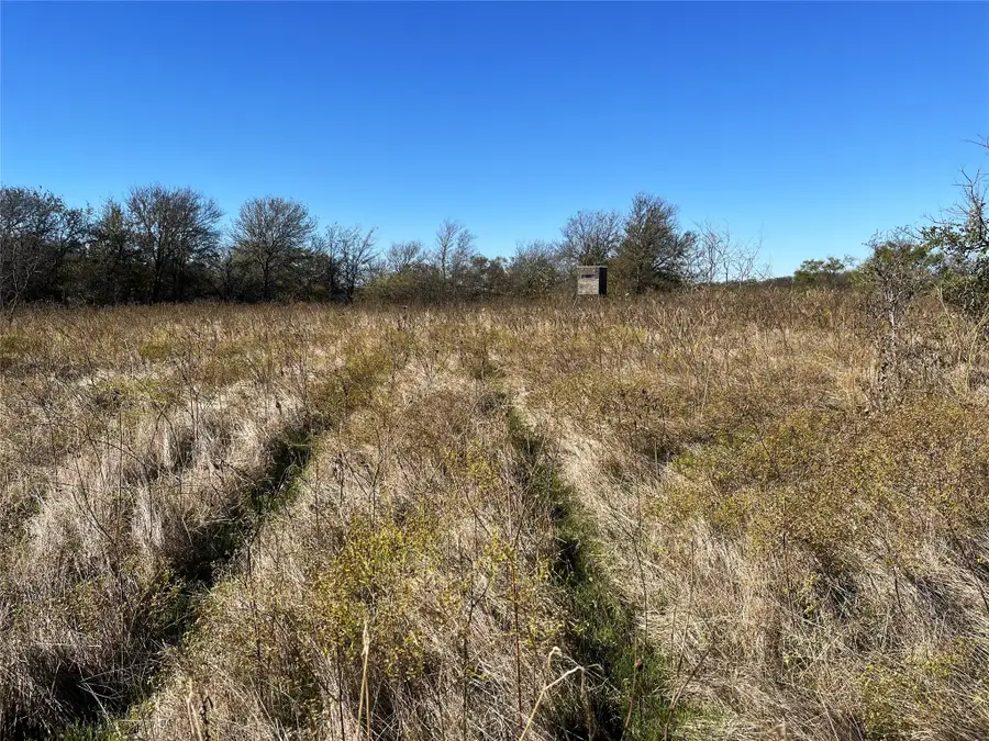 11 Old Tioga Road #22 Acres, Gunter, TX 75058 - #2