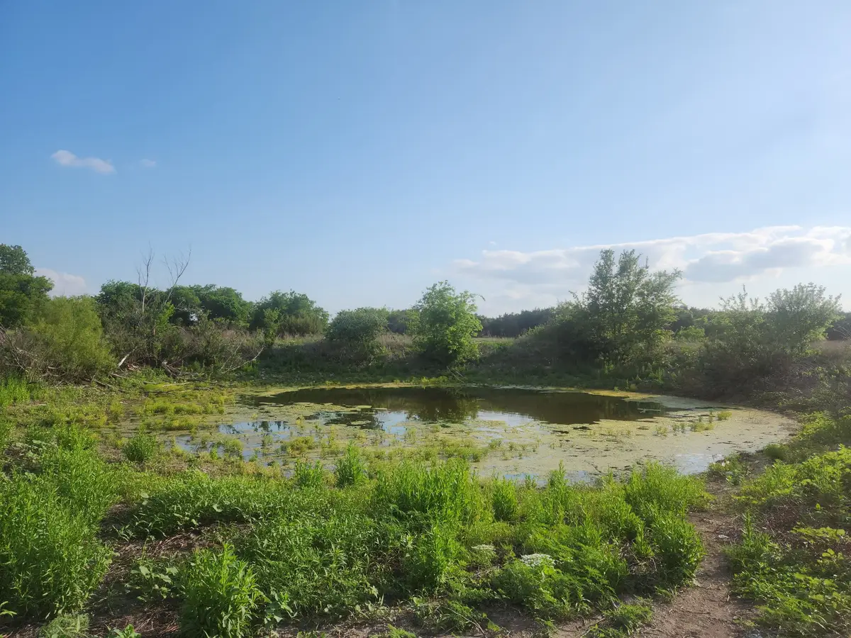 4465 County Road 185, Stephenville, TX 76401 - #1