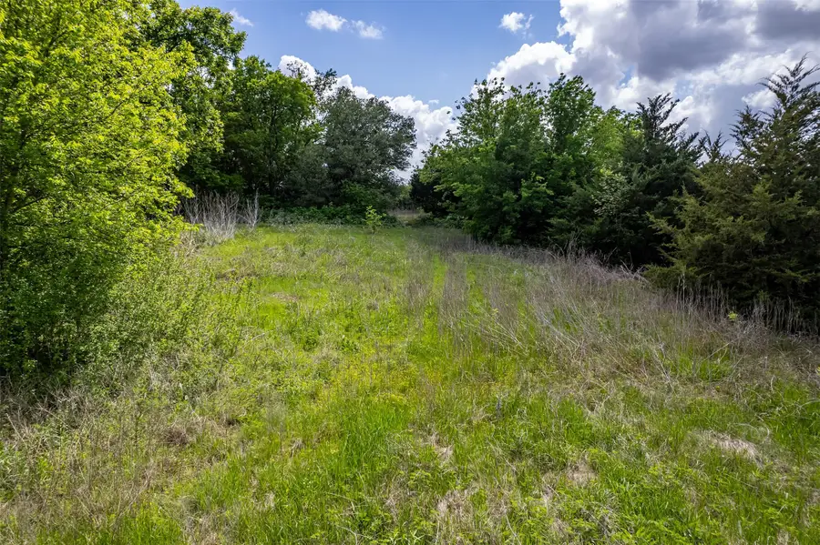 5228 County Road 599, Farmersville, TX 75442 - #3