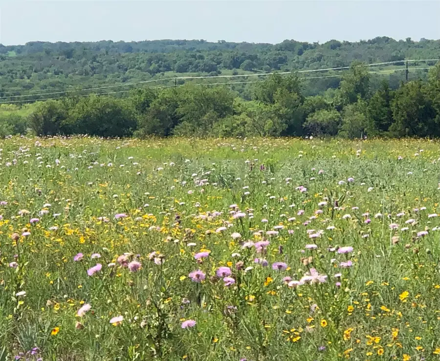 523 Ava Grace Lane, Dublin, TX 76446 - #3