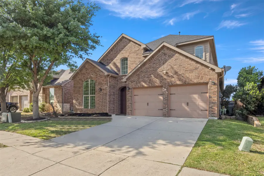 1729 Shoebill Drive, Little Elm, TX 75068 - #3