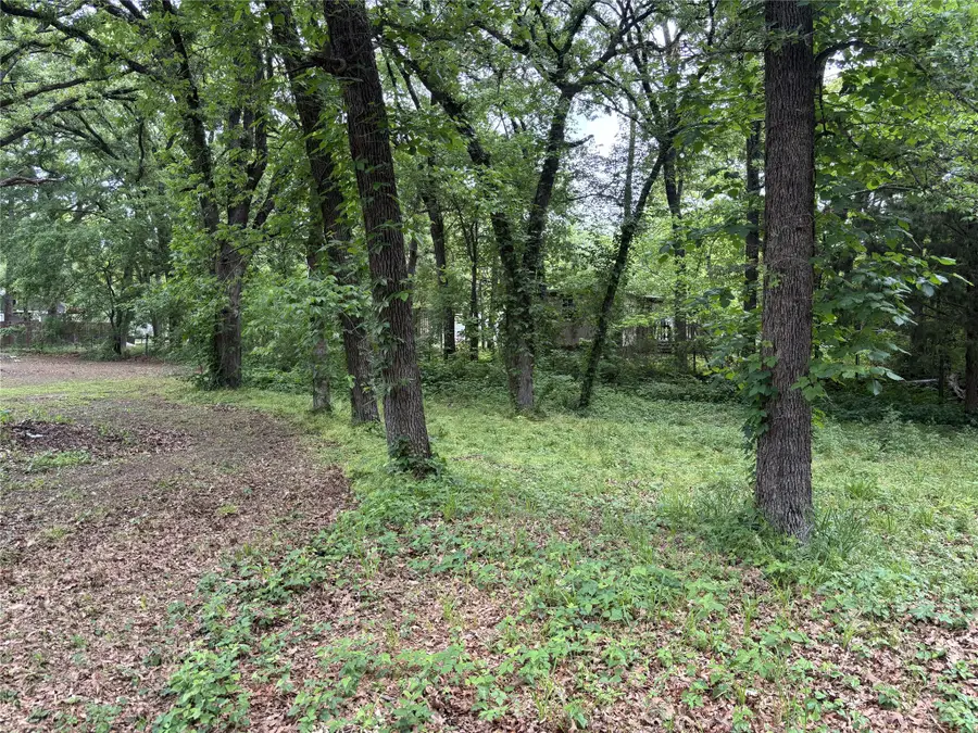 TBD Torama Street, Quinlan, TX 75474 - #2