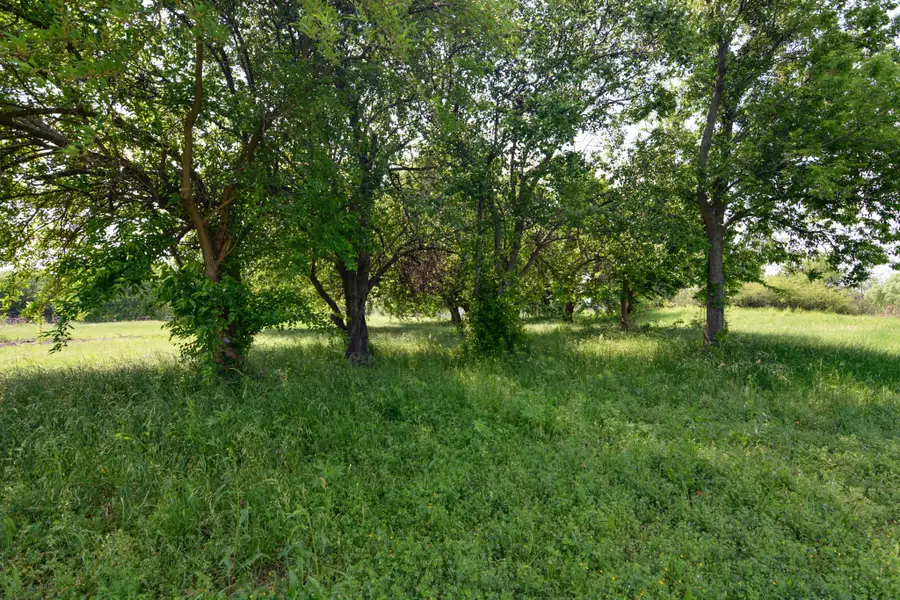TBD Contrary Creek Road, Granbury, TX 76048 - #3