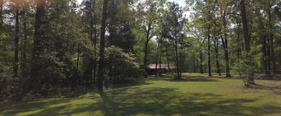 3072 Dorough Road, Karnack, TX 75661 - #3