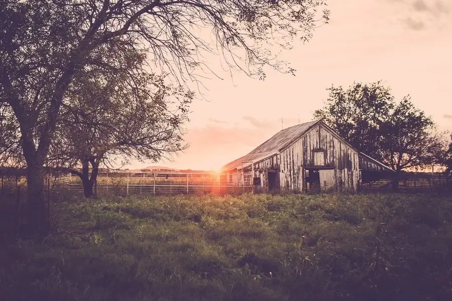 243 Fm 203, Walnut Springs, TX 76690 - #2