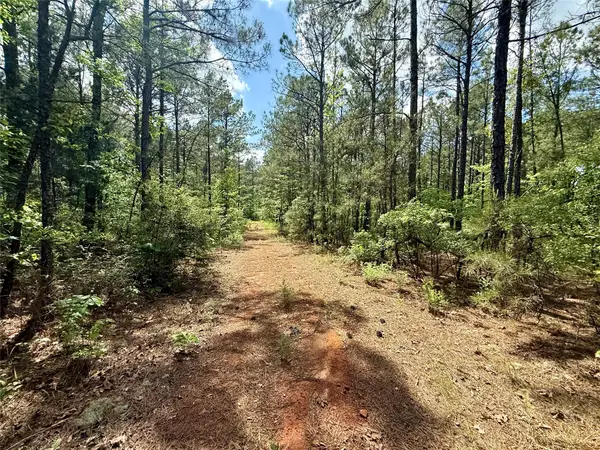 130 Doyston, Simsboro, LA 71275