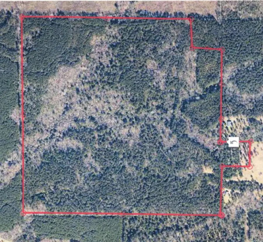 130 Doyston, Simsboro, LA 71275 - #2