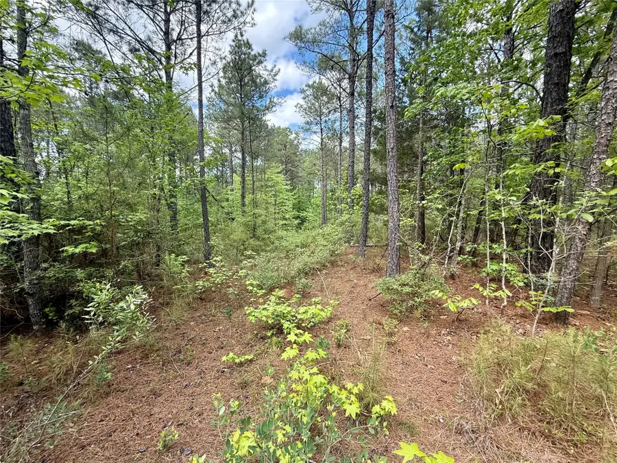 130 Doyston, Simsboro, LA 71275 - #3