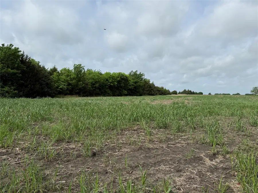 TBD Cr 23300, Roxton, TX 75477 - #3