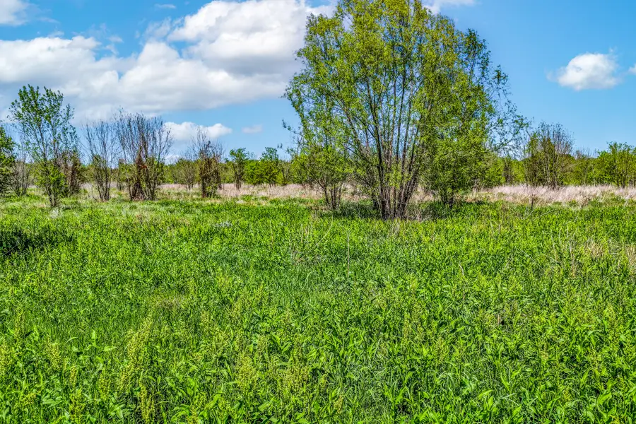 000 Fm 196, Deport, TX 75435 - #3