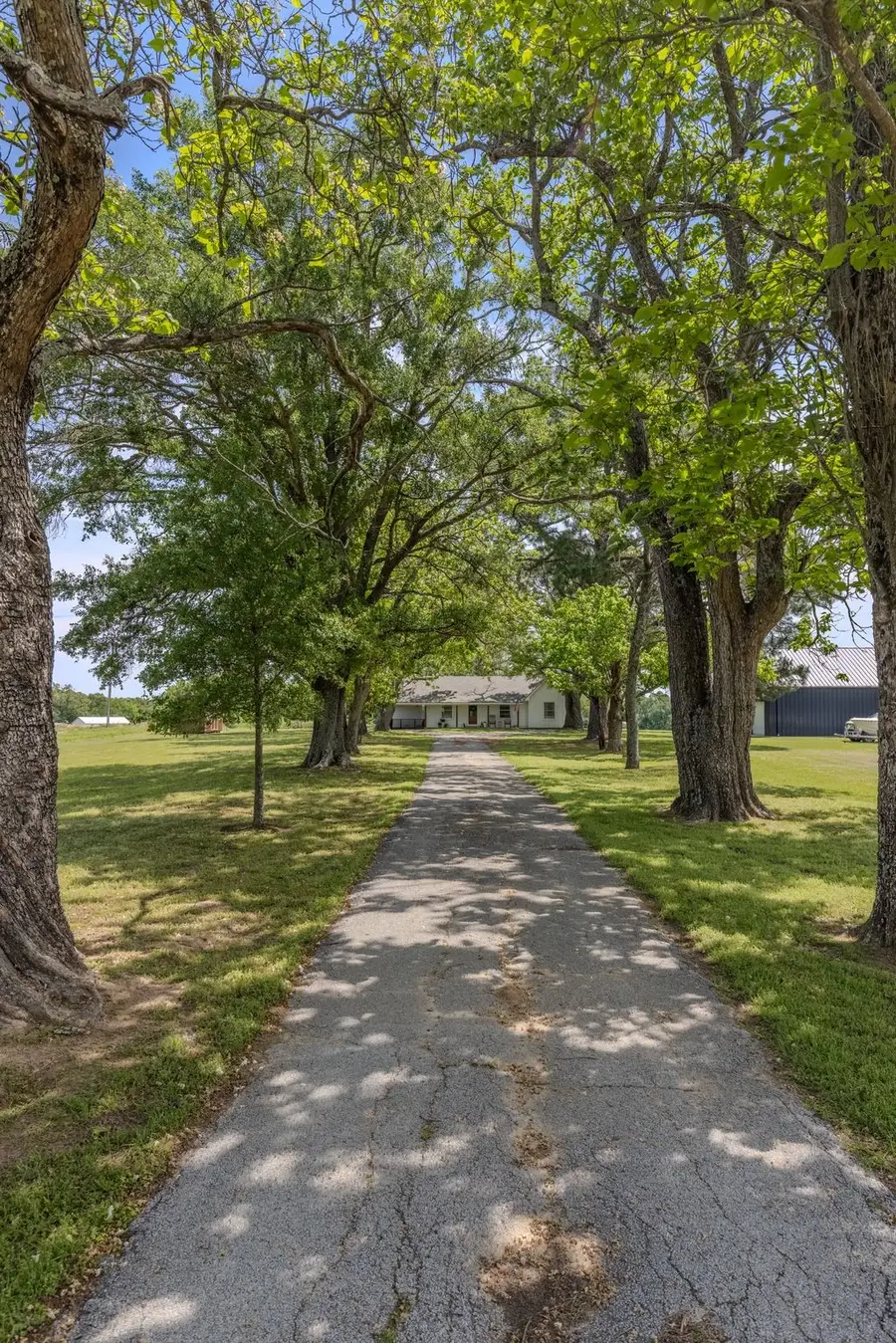 1100 Rs County Road 3150, Emory, TX 75440 - #3