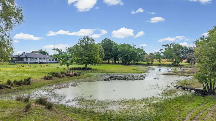 451 Vz County Road 1118, Grand Saline, TX 75140 - #3