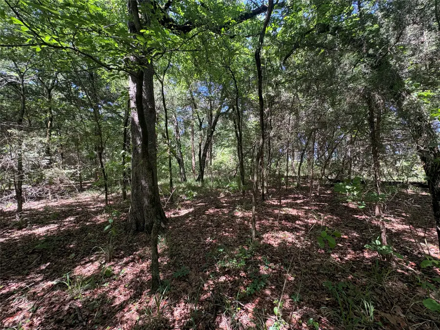 25 acres County Road 2348, Pickton, TX 75471 - #2