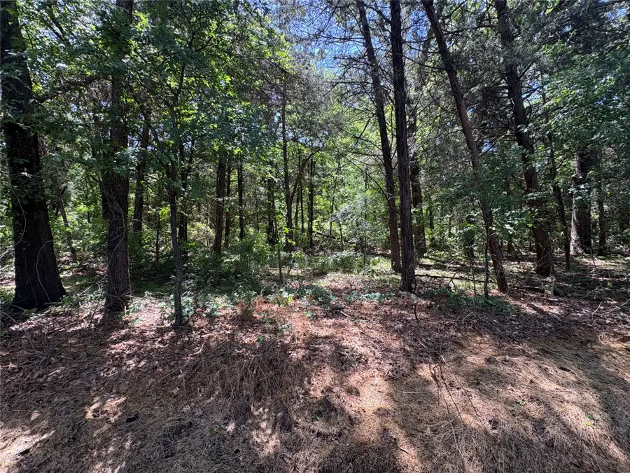 25 acres County Road 2348, Pickton, TX 75471 - #3