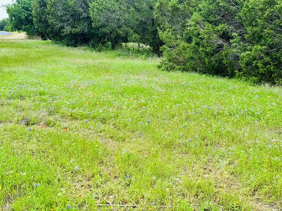 8356 Bruntsfield Loop Drive, Cleburne, TX 76033 - #2