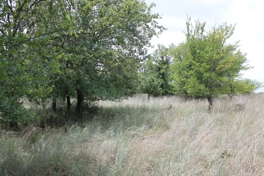 120 Demonbreun Court, Chico, TX 76431 - #3