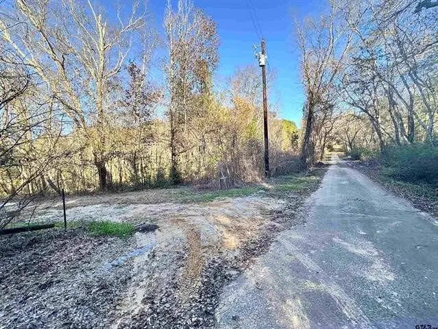 0 Cr 4302, Larue, TX 75770 - #2