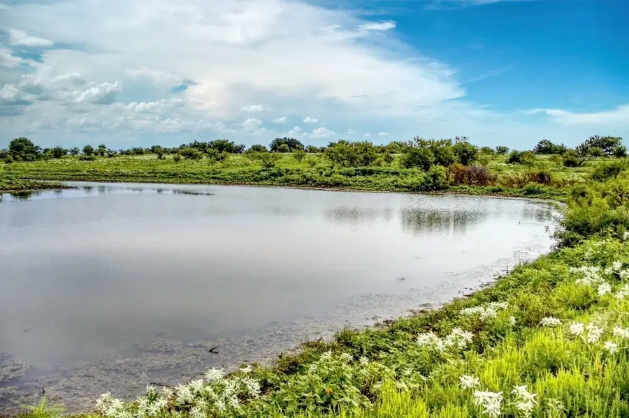 5350 Upper Denton Road, Weatherford, TX 76085 - #3