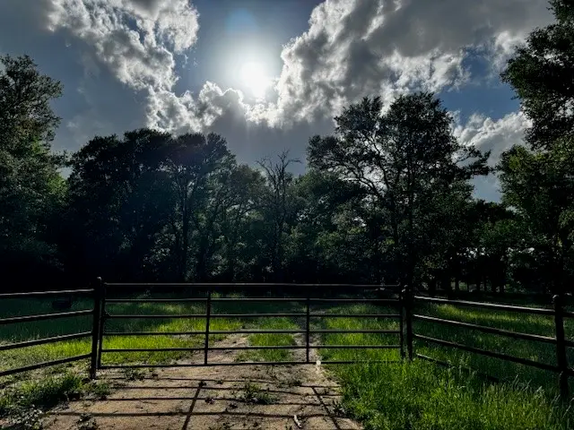 tbd CR 1000 County Road 1000 Road, Wortham, TX 76693 - #2