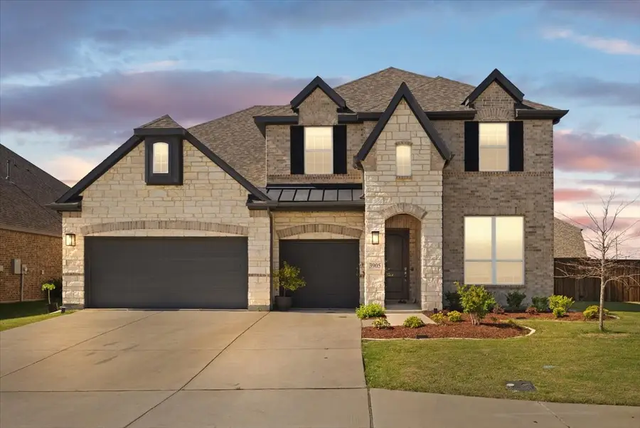 3905 Timberview Street, Midlothian, TX 76065 - #2