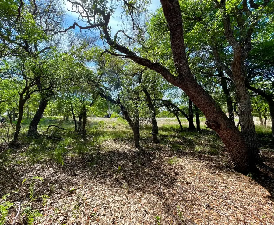 TBD (Lots 785, 786) Oak Point Drive, May, TX 76857 - #3