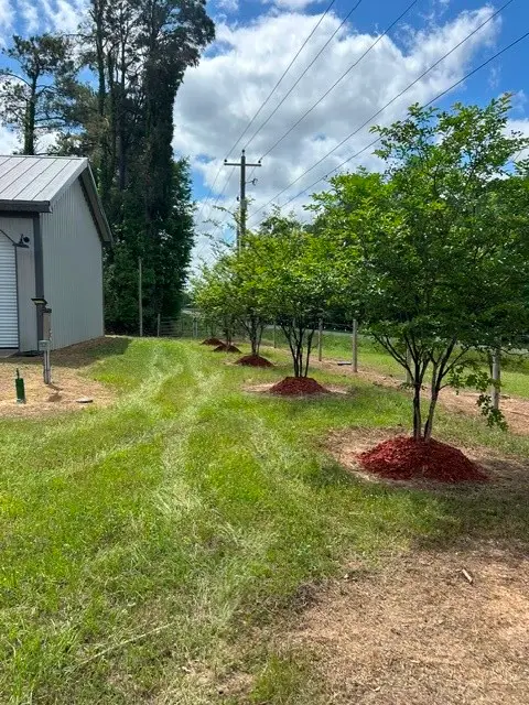 9833 175 Highway, Grand Cane, LA 71032 - #2