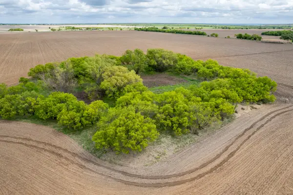 TBD County Road 159, Coleman, TX 76834