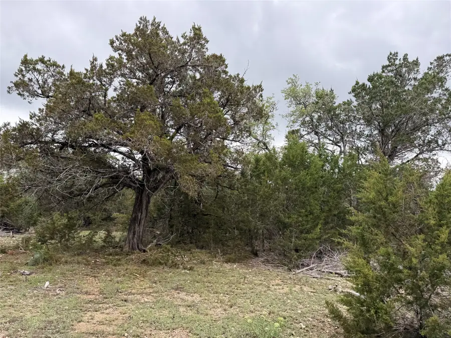 903 County Road 112, Burnet, TX 78611 - #3